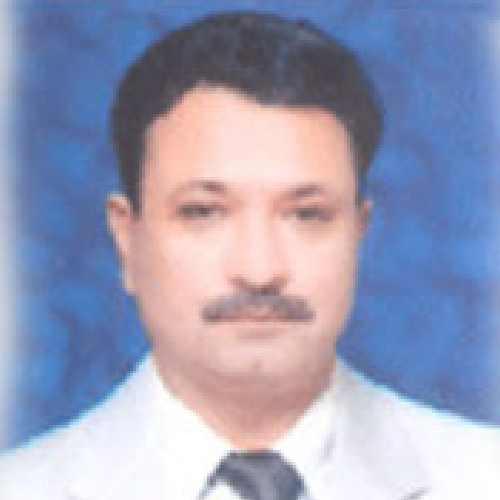 member img