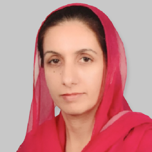 member img
